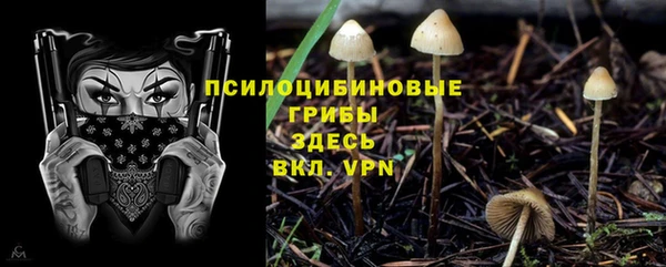 кристаллы Абинск