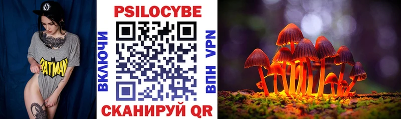 Галлюциногенные грибы Psilocybe Донецк